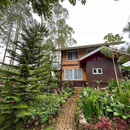 Dahilayan Comfy Cabin Manolo Fortich Zewnętrze zdjęcie
